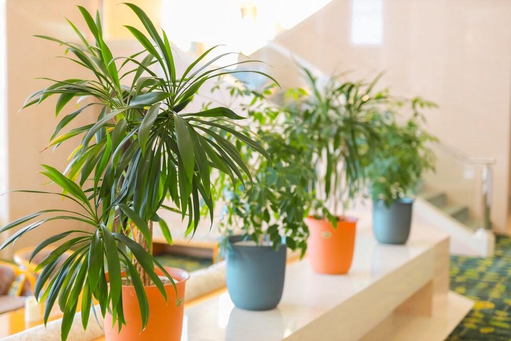 Chateraise Hotel Nirasaki Forest