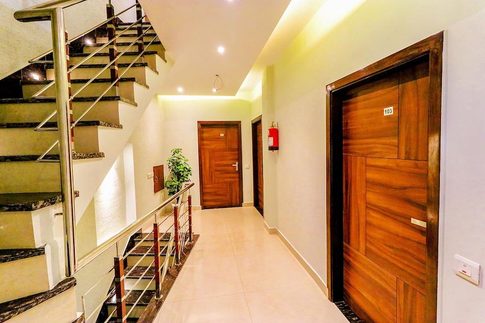 Fabexpress Golden Velvet