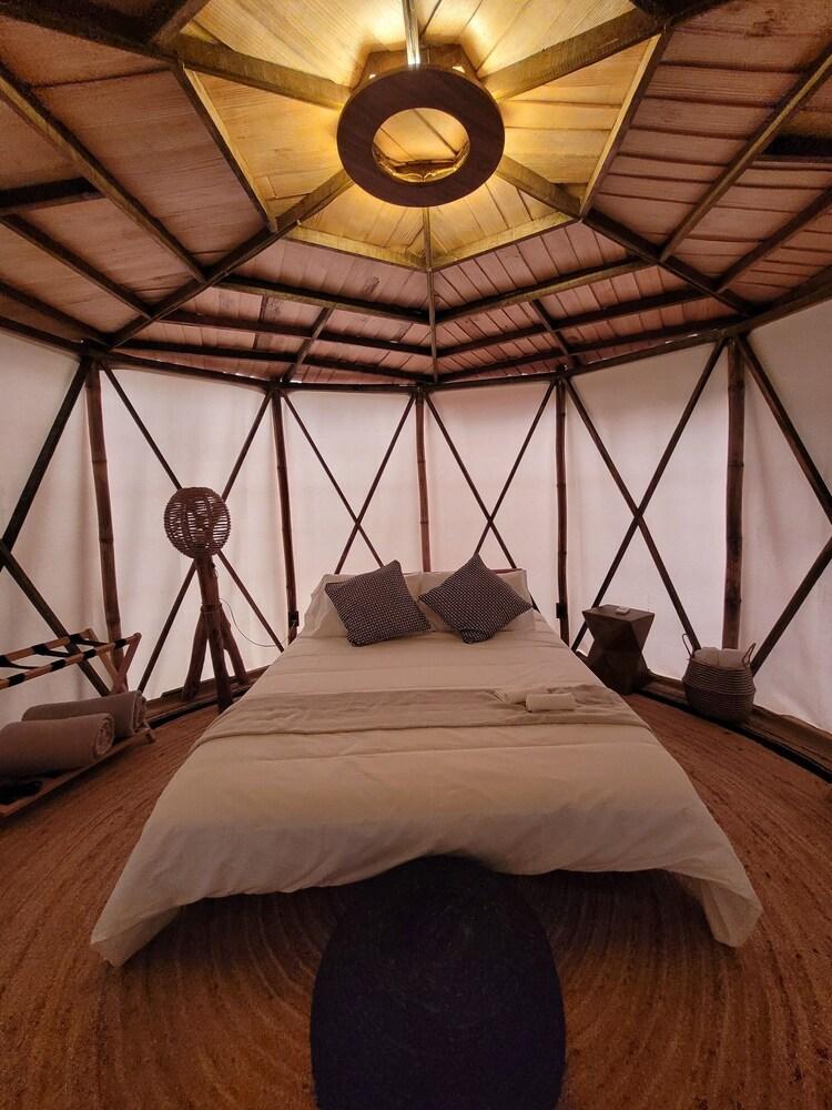 Nido Ecoluxury Treehouse - Casa de Arbol