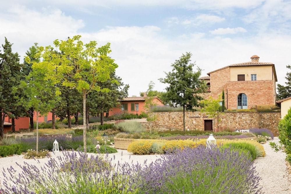 Cignella Cipresso in Trequanda