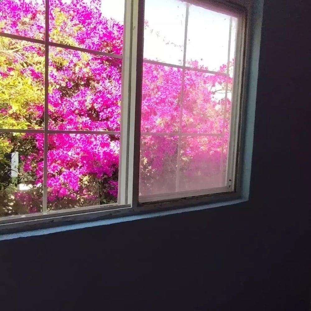 Suites Bugambilias Rooms Primavera Bosque