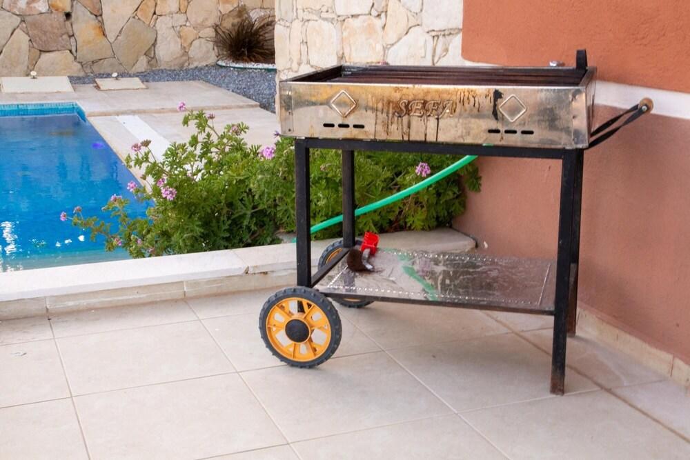 Gorgeous Separate Villa With Pool in Kusadasi