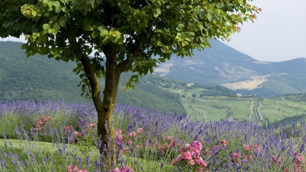 Villa Sibilla - Perugia-villa Sibilla