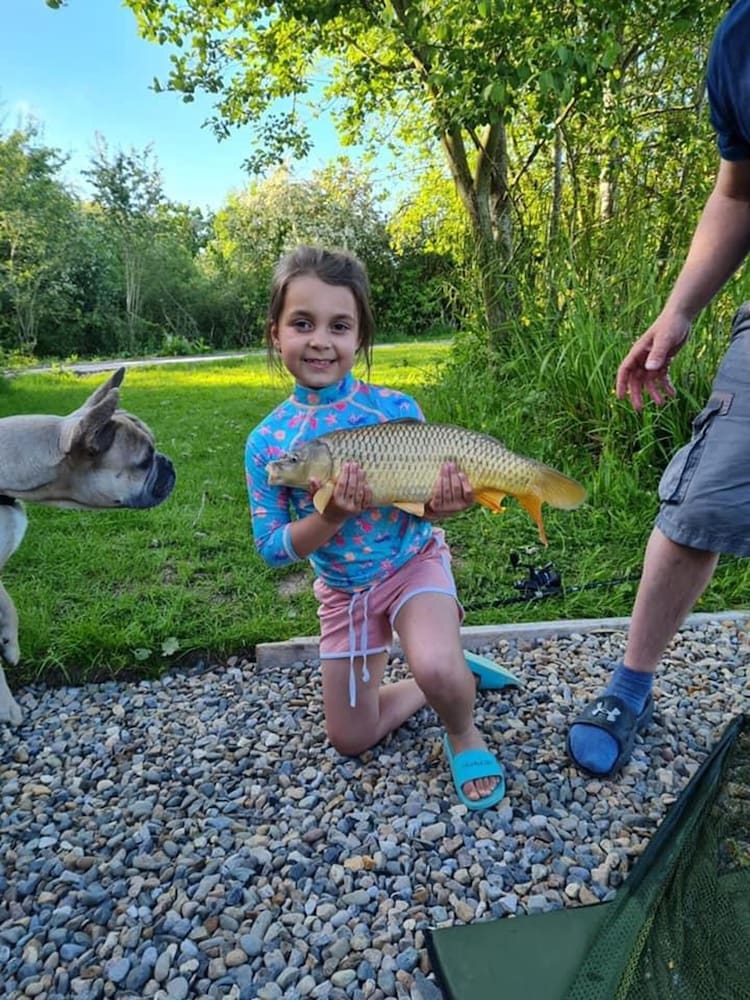 Beech Pod Cabin in Beautiful Surroundings Wrexham