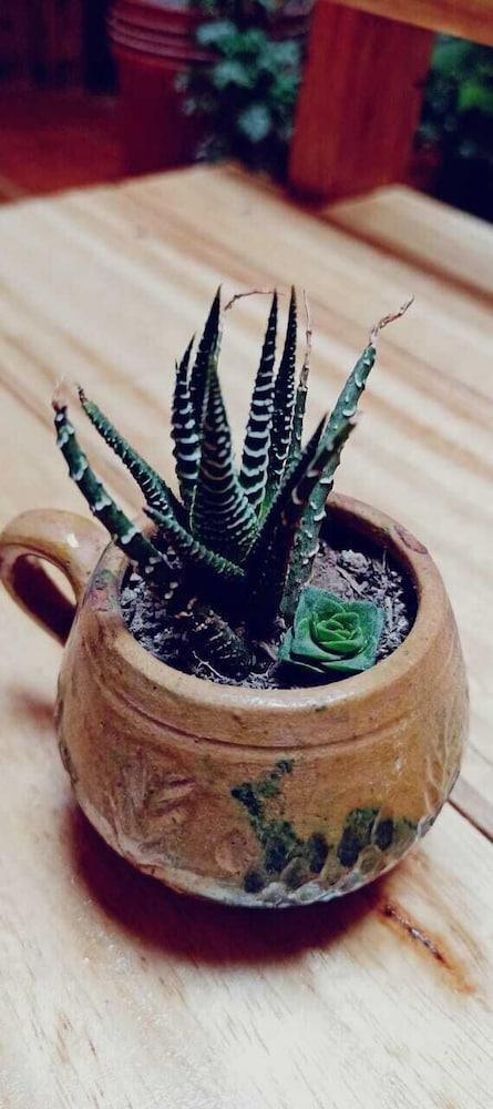 THE LITTLE HOUSE APARTHOTEL