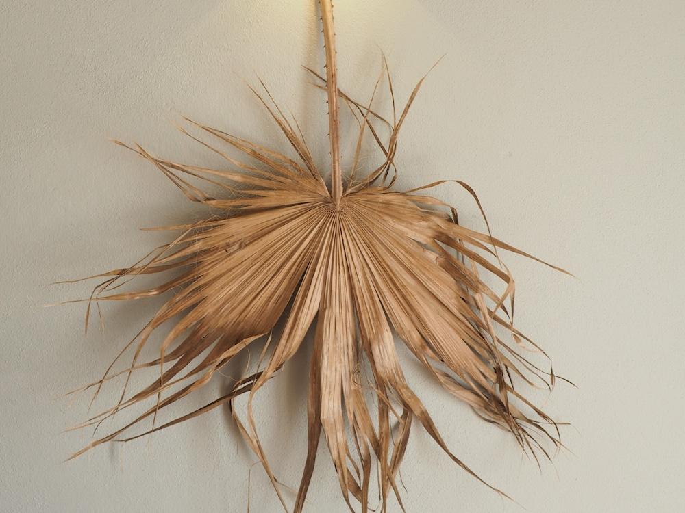 Hotel Llucatx Menorca