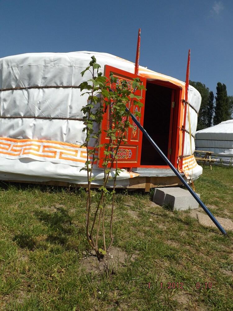 Les Insolites de la Baie