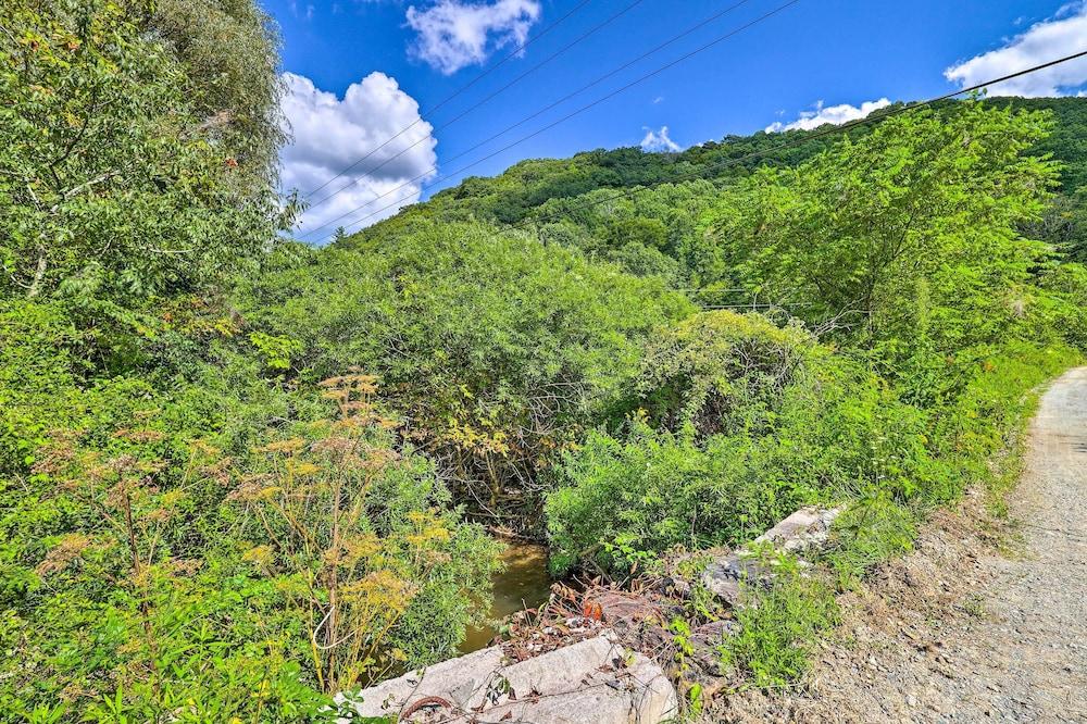 The Bird Sanctuary Fire Pit, Gas Grill & Hammock