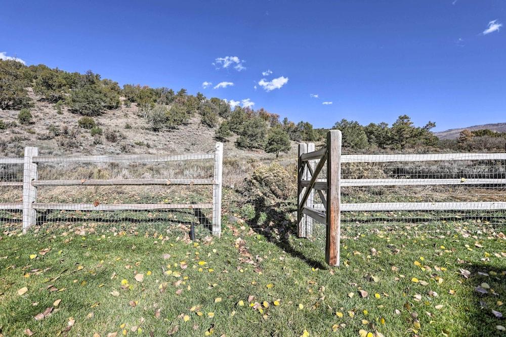 Cozy Carbondale Escape w/ Deck & Grill!