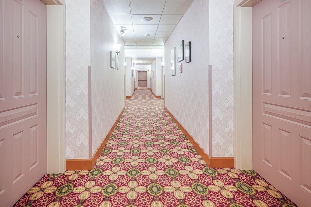 Experience Chautauqua! Newly Renovated Studio