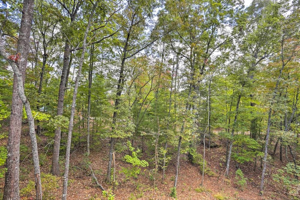 Quaint Log Cabin in Murphy With Deck & Grill!