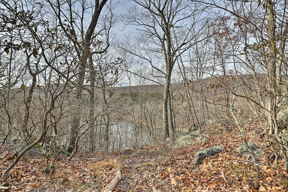 Cozy Garrison Home, 11 Mi to Bear Mountain!