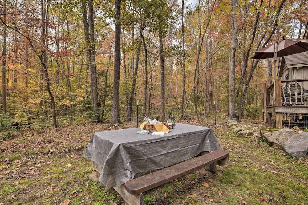 Restful Creekside Retreat by Table Rock State Park