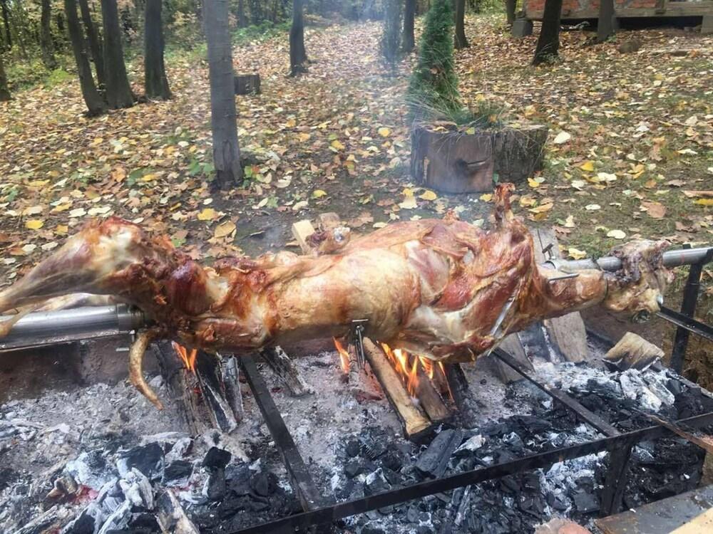 Nevressa 1-bed Cabin