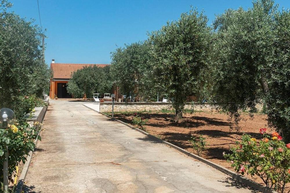 Welcomely - Domo Galante