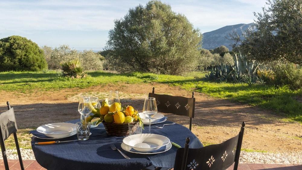 Casa Oliveto 2 in Galtell