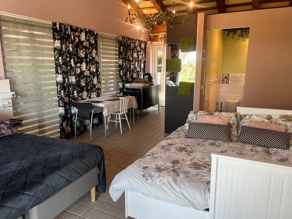 Room in Studio - Studio Apartment With Kitchen in one Room