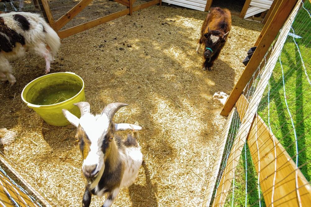 Spacious Missouri Vacation Rental w/ Fire Pit!