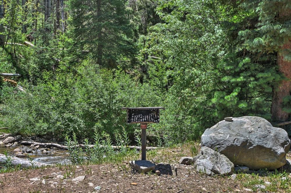Cozy Streamside Studio - 2 Mi to Taos Ski Resort!