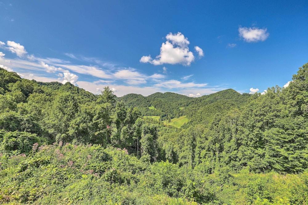 Stunning Views: Mountaintop Cabin in Burnsville!