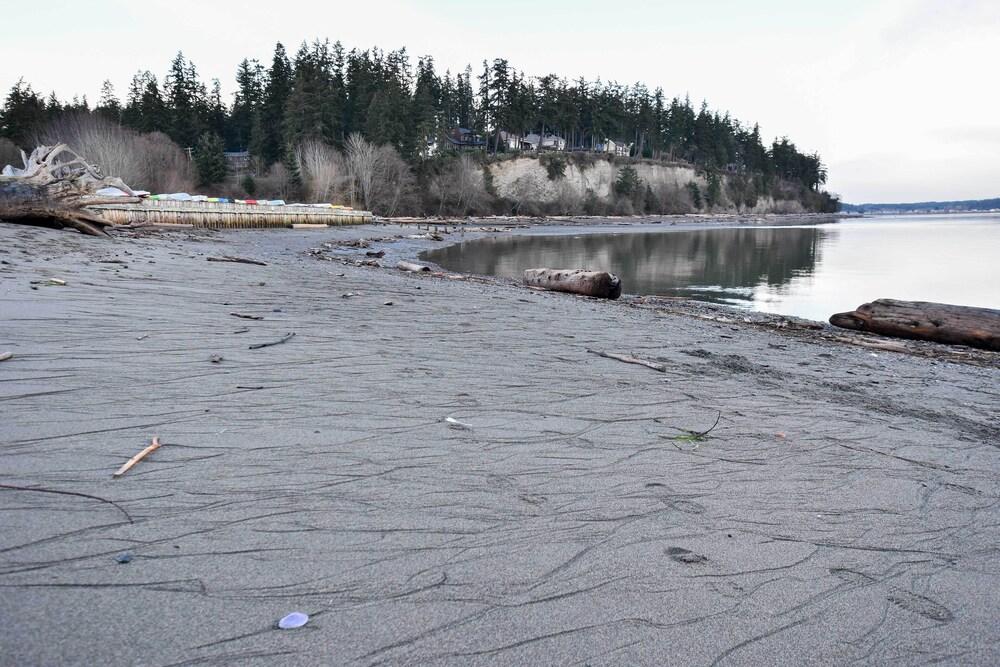 Unique Camano Cabin w/ Mountain + Water Views