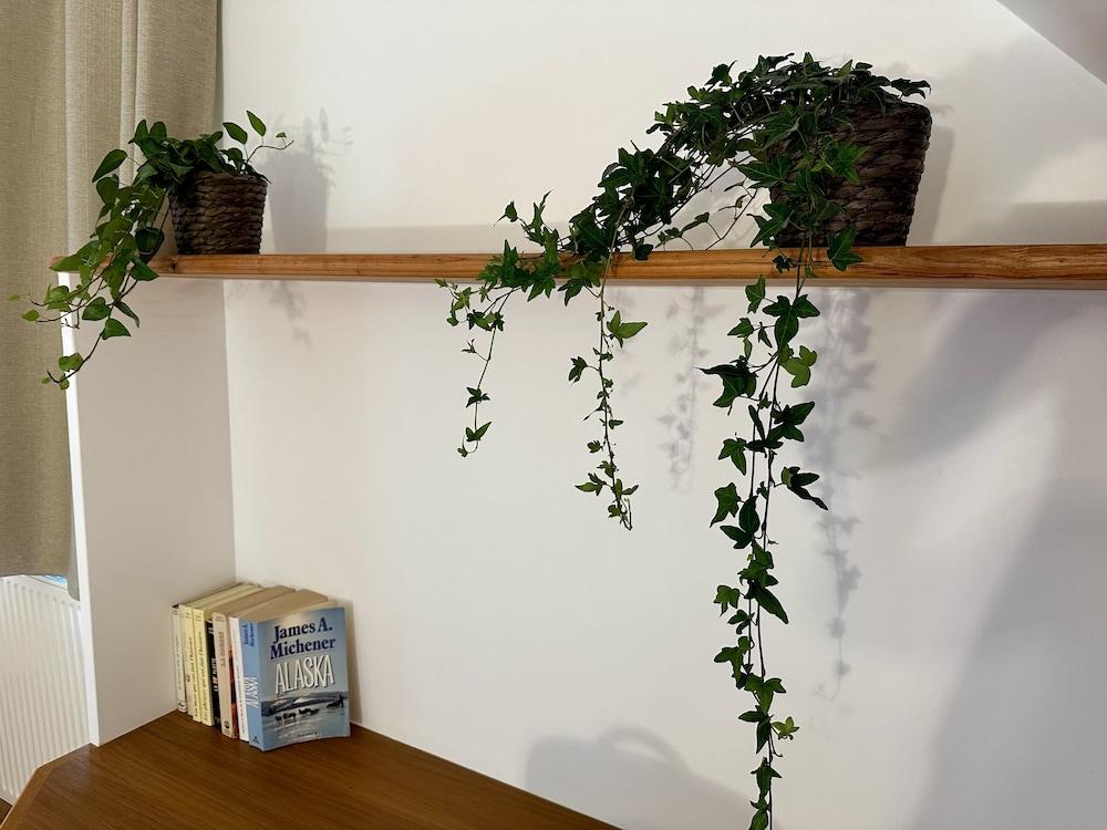 Domaine de Couilleuse