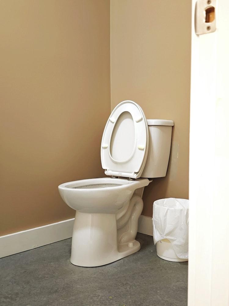 The Cozy Little Home