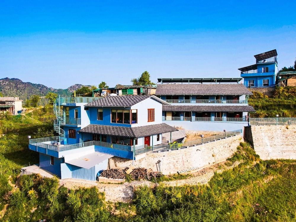 The Himalayan Deodar