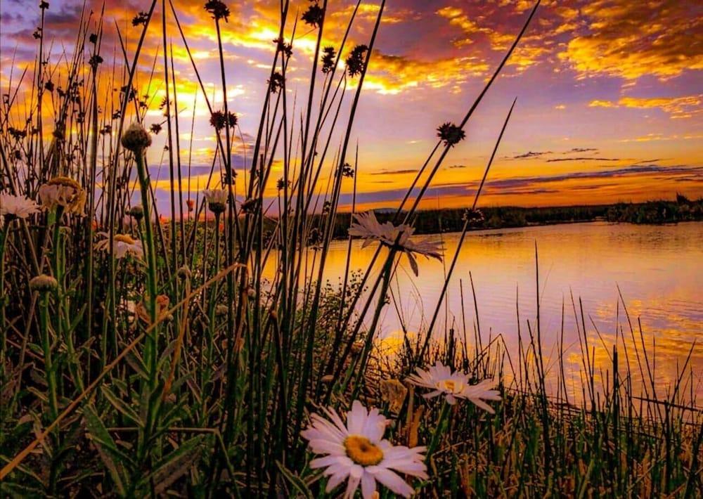 Amalia Titicaca Perú