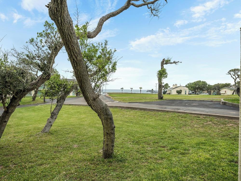 Sailing Windward by Miss Kitty’s