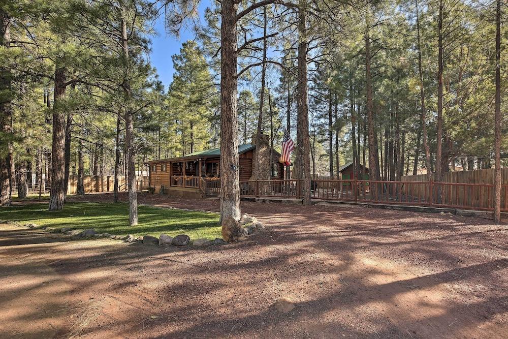 Family & Dog Friendly: Rustic Lakeside Cabin