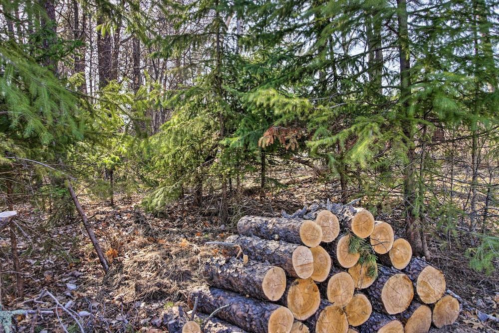 Breezy Point Cabin w/ Fire Pit - Walk to Lake