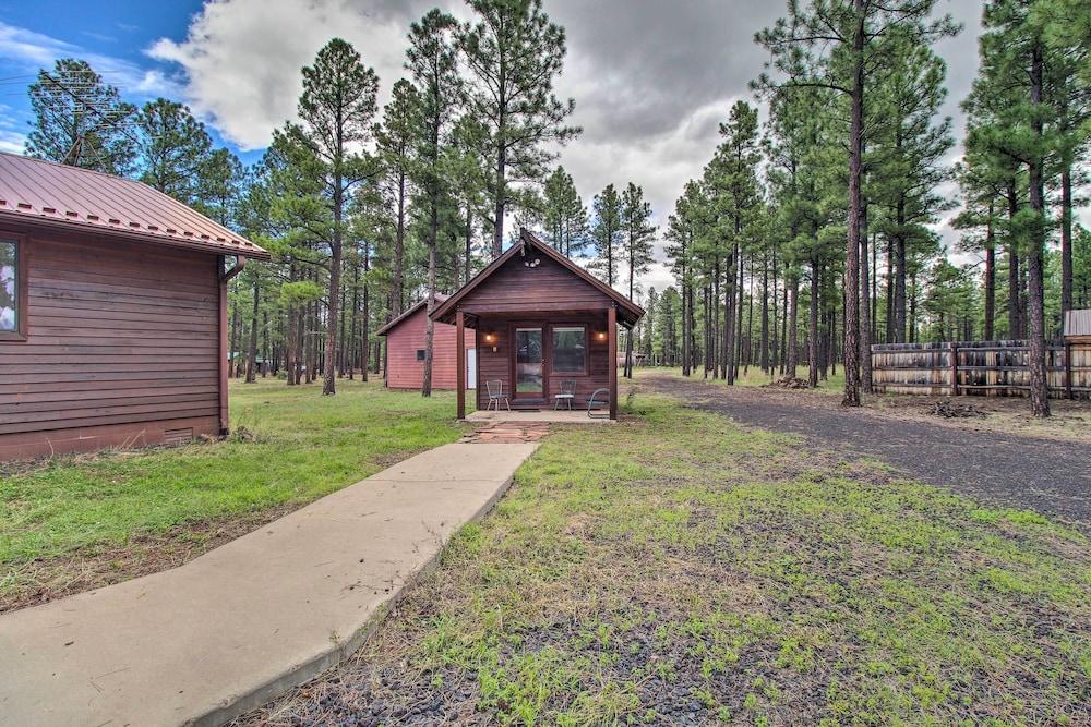 Yard, Grill & Games: Spacious Cabin in Lakeside!