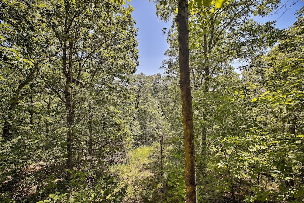 Secluded Studio 1 mi to Thorncrown Chapel