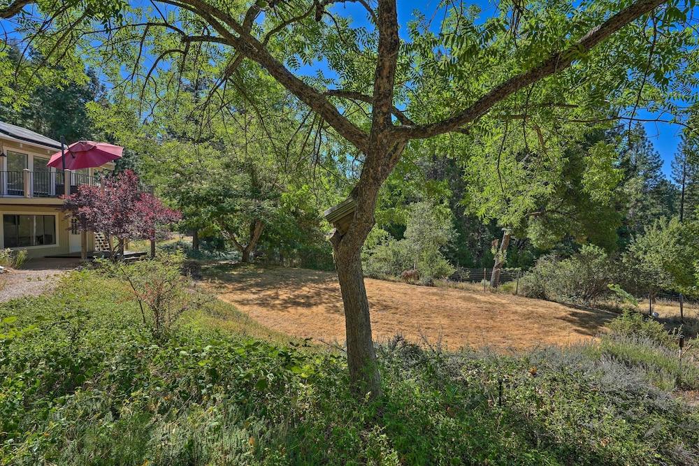 Deck & Grill: Camino Home in Wine Country!