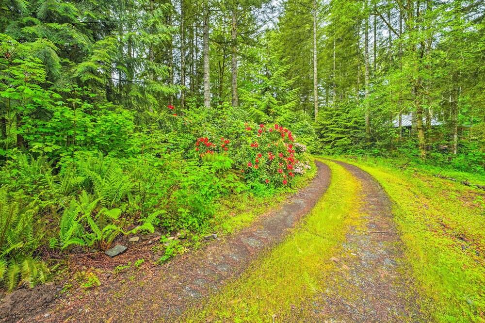 The River House' w/ Deck, on Mckenzie River!