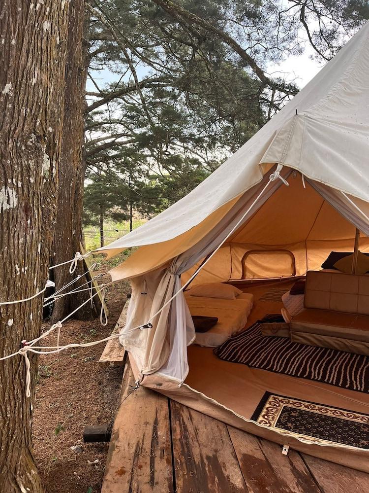 LUNA LLENA PARQUE DE MONTAÑA