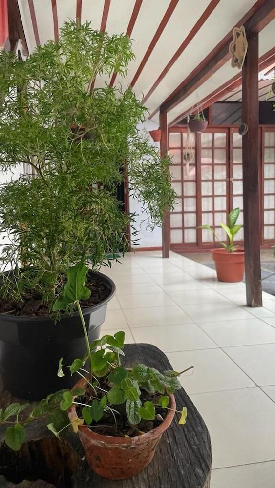 Casa Amazonica Iquitos