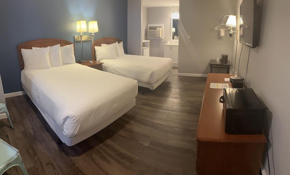 Trade Winds on the Bay