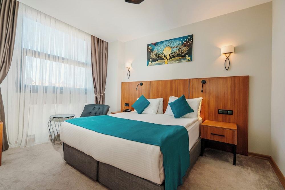 Library Hotel Erciyes