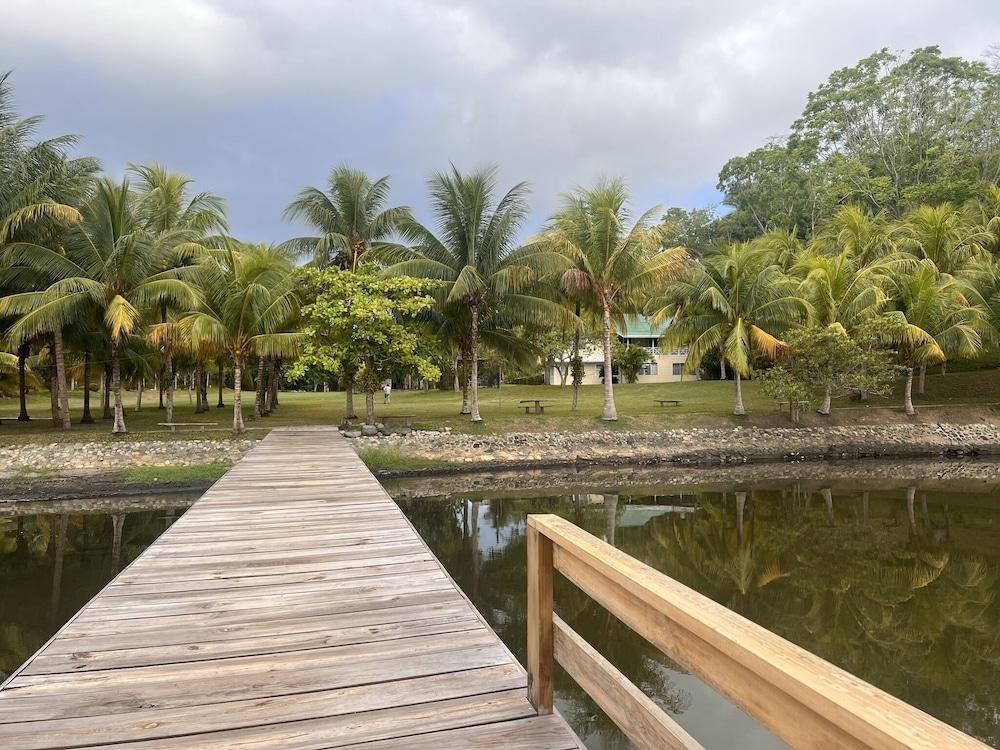 Los Olingos Lodge - Bird Paradise