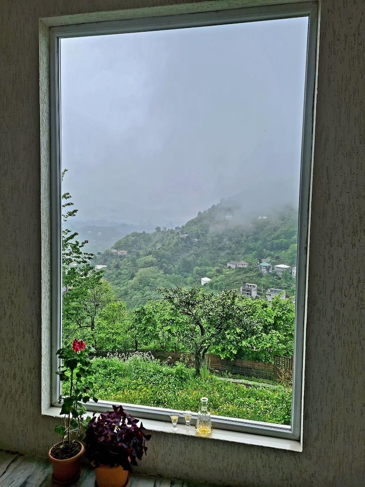 Old House korolistavi