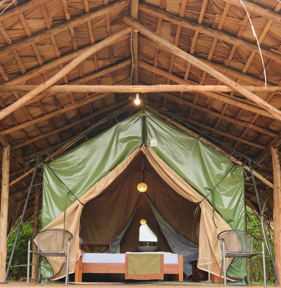 Forest Lodge Eco Camp