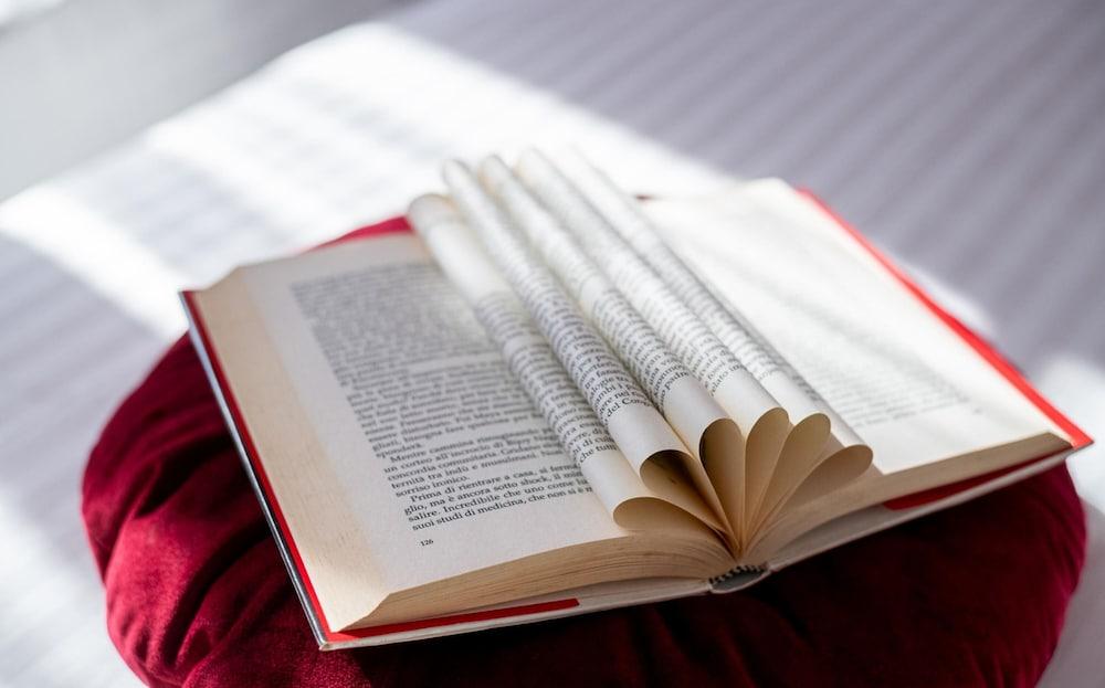 Elegantia Home in Pisa