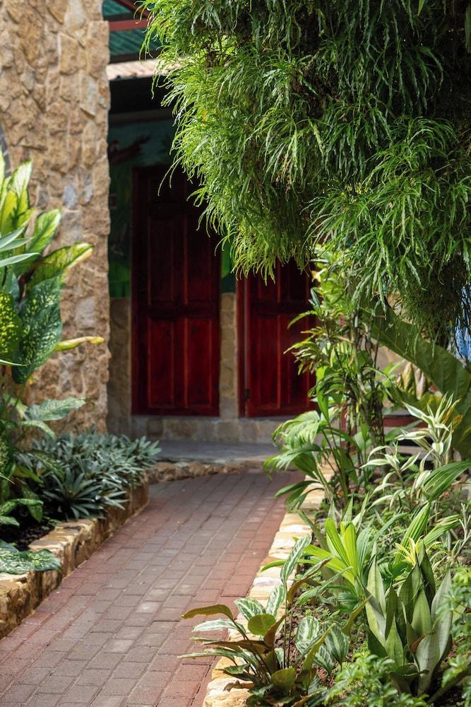 COSTA LINDA ART HOSTEL