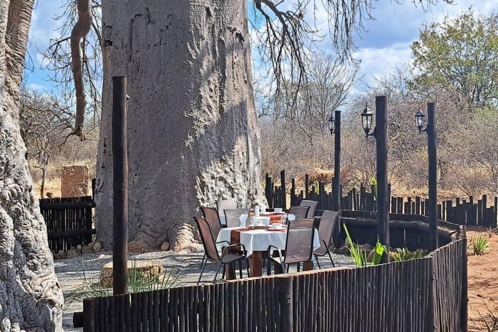 Hambana Lifestyle Lodge