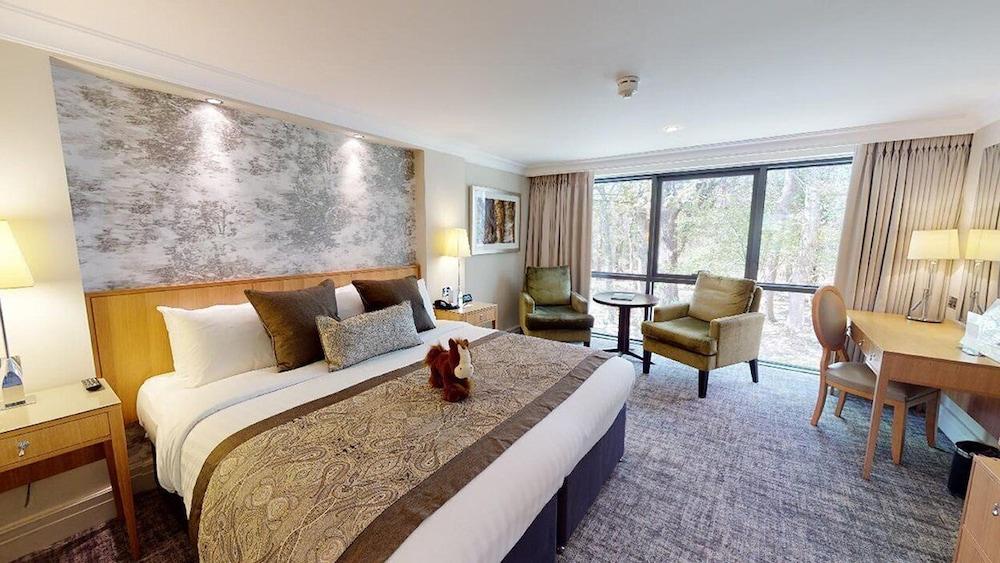 Rhinefield House Hotel