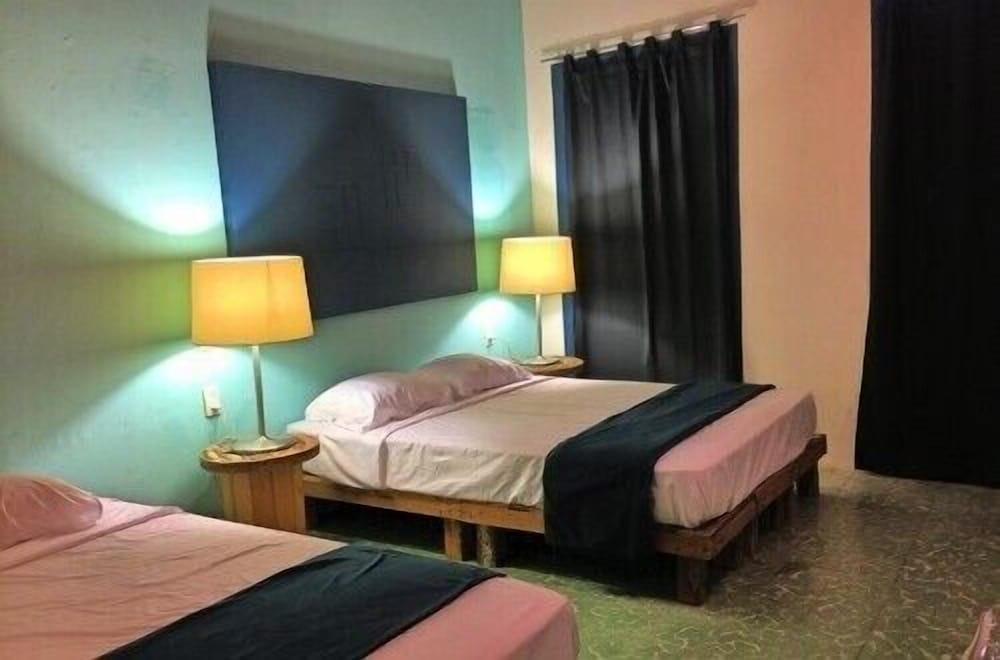 Blue Bicycle House - Hostel