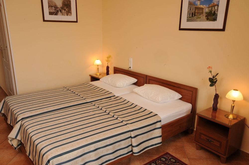 Budapest Museum Central