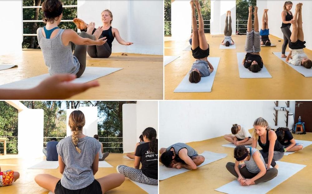 JUNGLE by thehostelcrowd